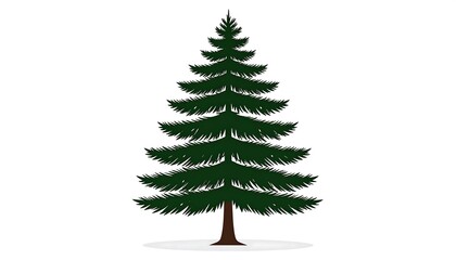 Illustration of a classic evergreen tree on white.
