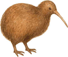 Vector watercolor illustration of a statue of kiwi bird