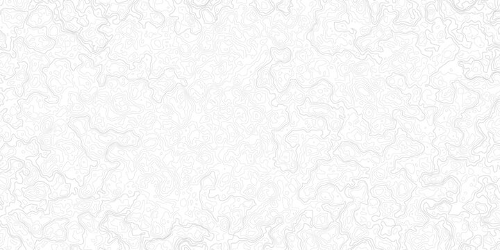 topography white background and black line wireframe isoline location diagram world map texture design. Topography banner texture white template curve concept style .