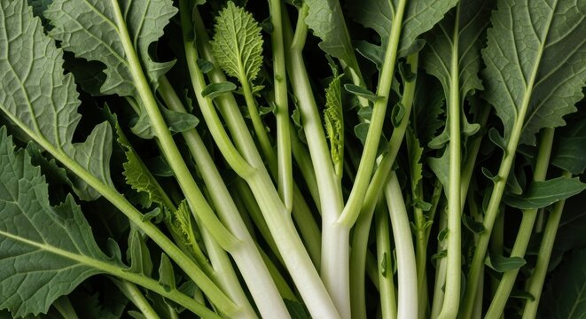 Fresh turnip greens macro view. Healthy eating and organic food concept. Natural vegetable texture for culinary content. Superfood ingredient for a balanced diet and wellness - Powered by Adobe