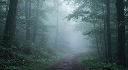 Misty forest scene with path leading into distance between trees