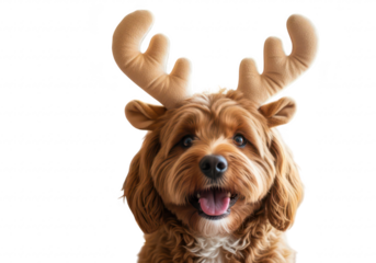 Cute dog wearing reindeer antlers isolated on transparent background
