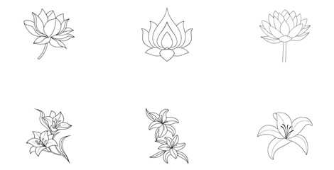 Six Outline Drawings of Lotuses and Lilies on White Background
