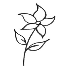 Simple hand-drawn flower line art illustration, minimalist design