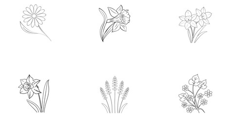 Six Outline Drawings of Various Flowers on White Background