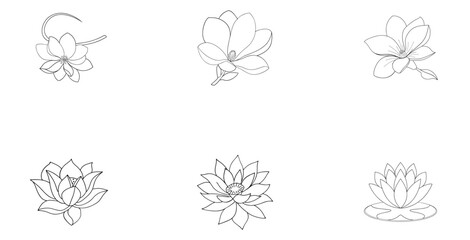 Six Outline Flower Illustrations Magnolia and Lotus