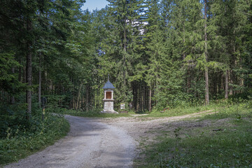 On hike from Mariazell to Erlaufsee (lake), Mariazell, Styria, Austria