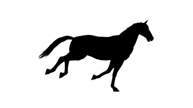 Running horse silhouette animation with looping channels