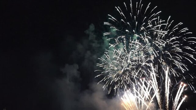 Fireworks explode in the night sky a vibrant display of light and color perfect for celebrations and festive events