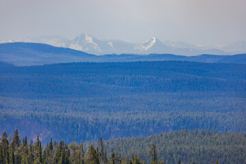Scenic view in Yellowstone National Park