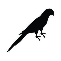 Parrot silhouette icon