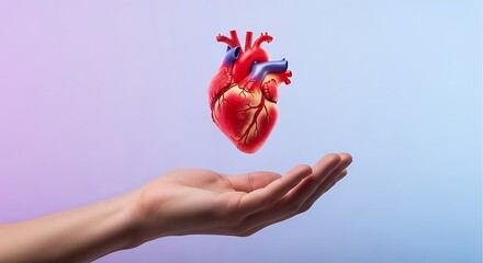 Human heart floating above open palm against gradient background organ anatomy