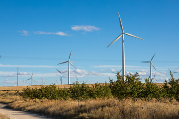 Large wind farm located in arid landscape under bright blue sky with multiple turbines generating renewable energy