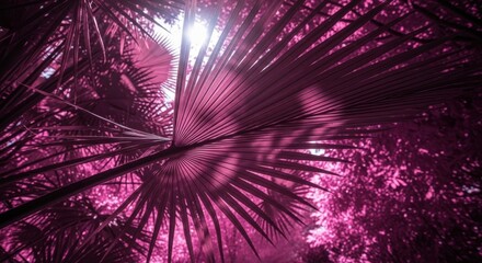 Vibrant magenta palm leaf detail with sunlight. Surreal tropical nature for creative design. Fantasy forest aesthetic for wellness and beauty branding. Abstract botanical pattern
