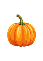 Obraz premium pumpkin isolated on white