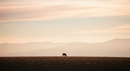 Lone cow silhouette grazing on a vast pasture. Minimalist landscape with rolling hills at sunset. Serene nature concept for wellness and mindfulness. Organic farming and agriculture visual