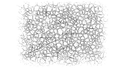 Distressed organic cell pattern overlay for dynamic textures and backgrounds, lending a modern, edgy feel to design projects