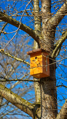 View of the one hanging wooden birdhouse on a tree. In the background is a bright blue sky. Nature in anticipation.