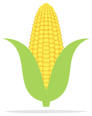 Obraz premium Vibrant Corn on the Cob with Green Husk Isolated Icon