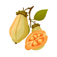 Flat 2D Baobab Fruit vector illustration, icon graphic on white background