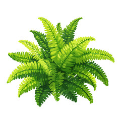 2D flat vector graphic of a Boston Fern in icon style, isolated on white background