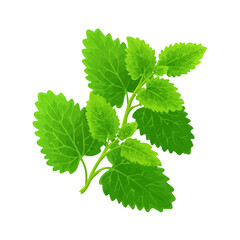 Flat 2D Catnip vector illustration, icon graphic on white background