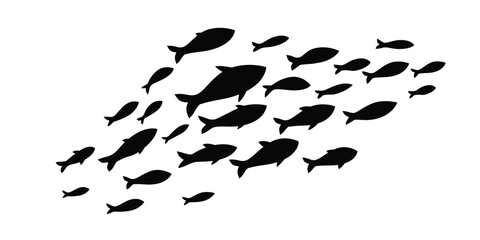 a school of fish swimming in ocean.