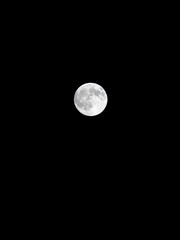 The full moon on a black background. 