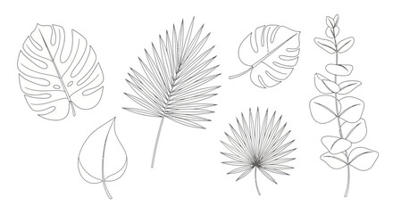 Elegant line art of tropical foliage, perfect for a modern botanical design or minimalist nature-inspired illustration, creating a calming and fresh aesthetic
