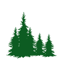 Green christmas trees illustration, forest landscape design PNG.