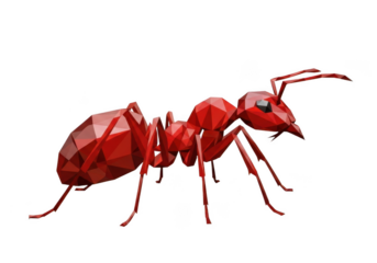 Close up red ant insect macro photography black background