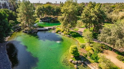 Aerial shot of a Japanese-style garden pond with a small bridge and ducks. The water is vibrant green reflecting the surrounding trees and foliage. A tranquil oasis in a suburban setting. Ideal for