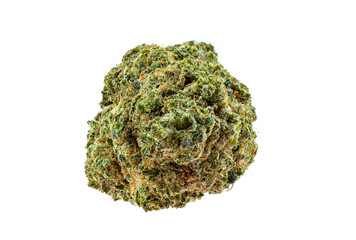 Close up of prescription medical marijuana strain. Macro medical marijuana, Cannabis Bud photo isolated on white background 