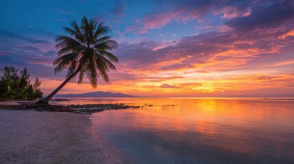 Fototapeta premium A colorful sunset spreads across the sky, casting reflections on calm waters near a sandy beach. A tall palm tree leans towards the ocean, enhancing the peaceful scene.