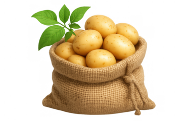 Freshly harvested potatoes in a burlap sack with green leaves, representing natural produce and farm-to-table food, transparent background