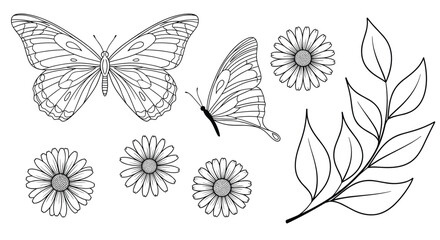 Fototapeta premium Elegant line art collection features various delicate butterflies in flight, cheerful daisies, and a graceful leafy branch, ideal for nature-themed designs.