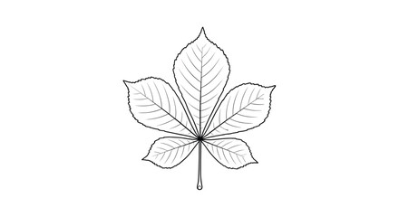 A detailed line drawing of a chestnut leaf, showcasing its distinctive palmate shape and intricate venation, ideal for nature and botanical themes.