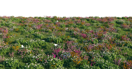 Field Ground with Dianthus, Iberis flowers and wild grass and bushes isolated png on a transparent background premium grass pile cutout