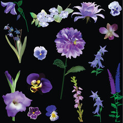 set of sixteen isolatedon on black blue and lilac flowers