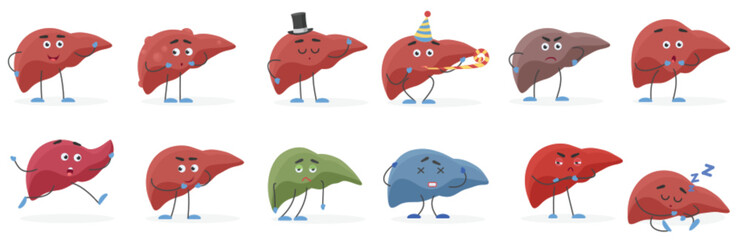 Cute human organ liver cartoon character positive and negative emotions organs set vector illustration.