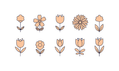 Hand drawn decorative elements including floral outlines whimsical curls arrows and abstract shapes for design projects