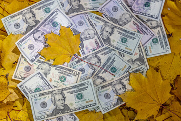 US dollar banknotes scattered on autumn leaves featuring fall colors, texture and currency details representing finance, economy, seasonal concept, banking, investment and American monetary system inf