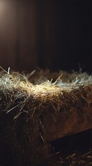 The humble manger scene, illuminated by a gentle light, filled with a sense of reverence and anticipation. ..Created with Generative AI, not depicting real subjects.