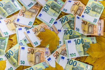 Euro banknotes scattered on autumn leaves featuring currency details, texture and fall colors...
