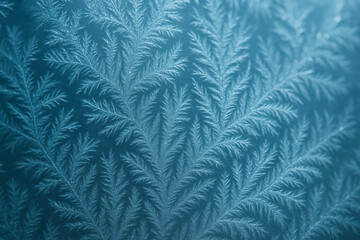Frost Pattern – Ice Crystals on leaf Surface