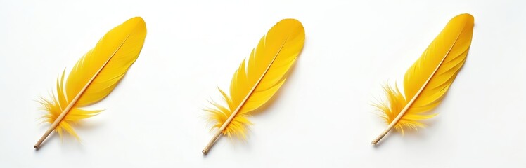 Fototapeta premium Illustration presents three bright yellow feathers. They are placed against a white background. This photo is suitable for design projects beauty concepts or art.