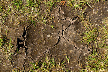 Photo of cracked soil from drought.Dry land without rains.