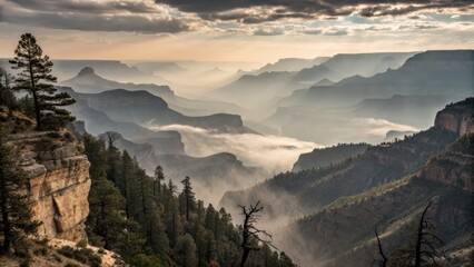 Landscape epic scene with fog and desaturated colors for background. Colorado.