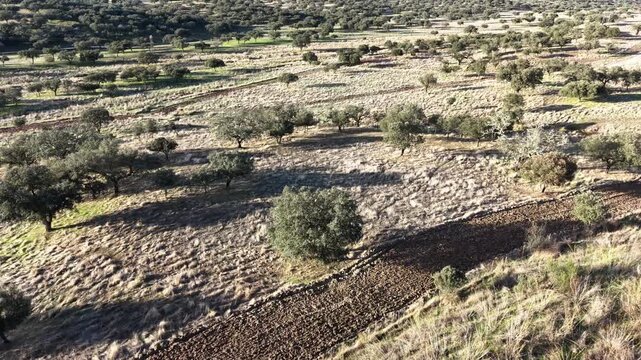 Sierra de San Pedro en Badajoz y C&aacute;ceres 