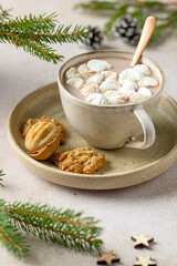 cup of hot chocolate and cookies